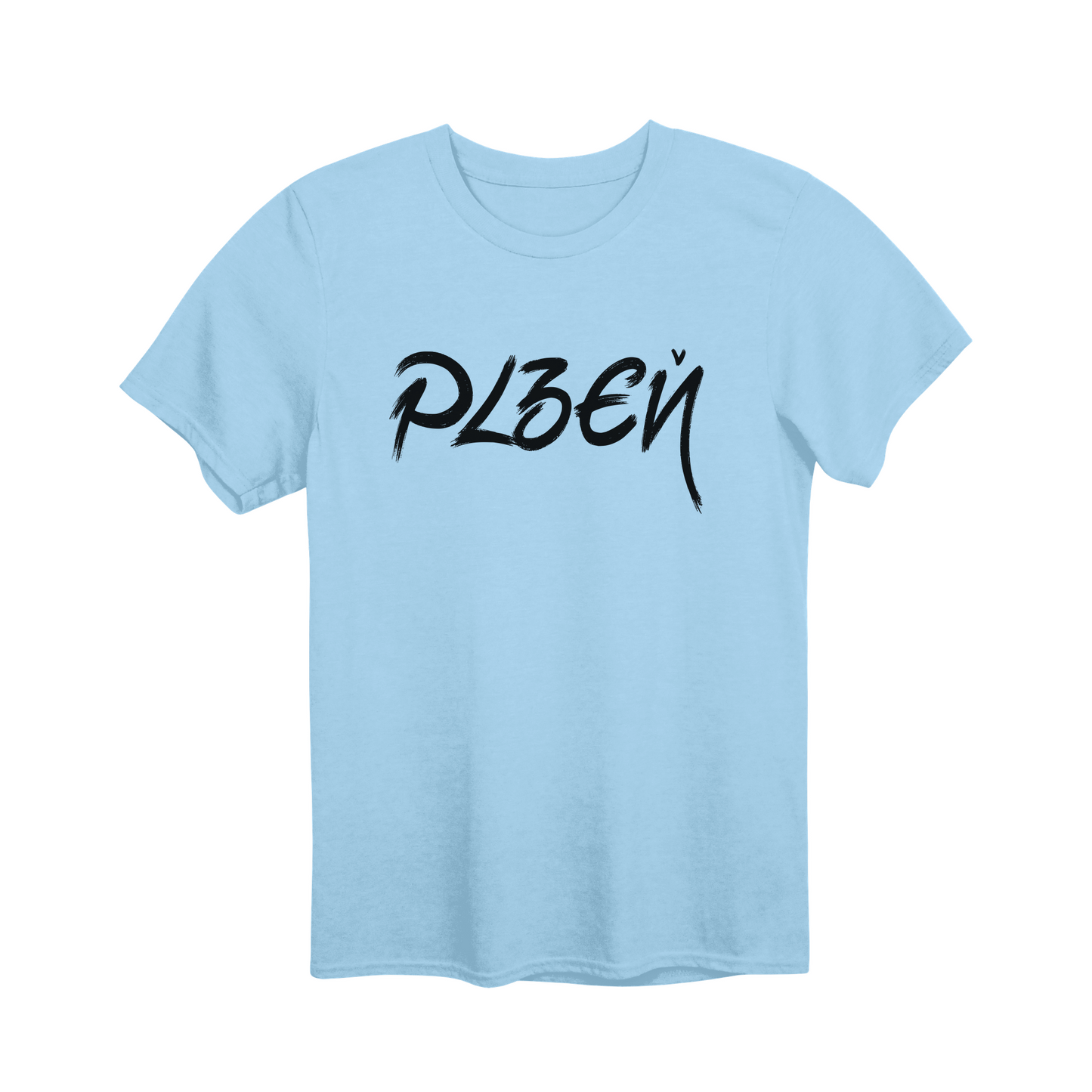 Plzeň město, černé tahy štětcem unisex tričko | PandaTees