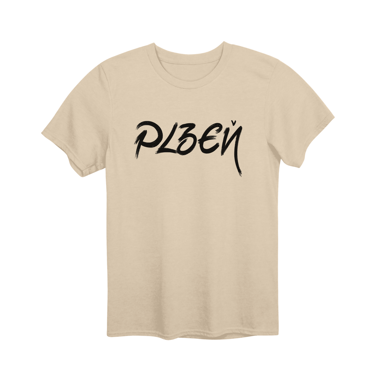 Plzeň město, černé tahy štětcem unisex tričko | PandaTees