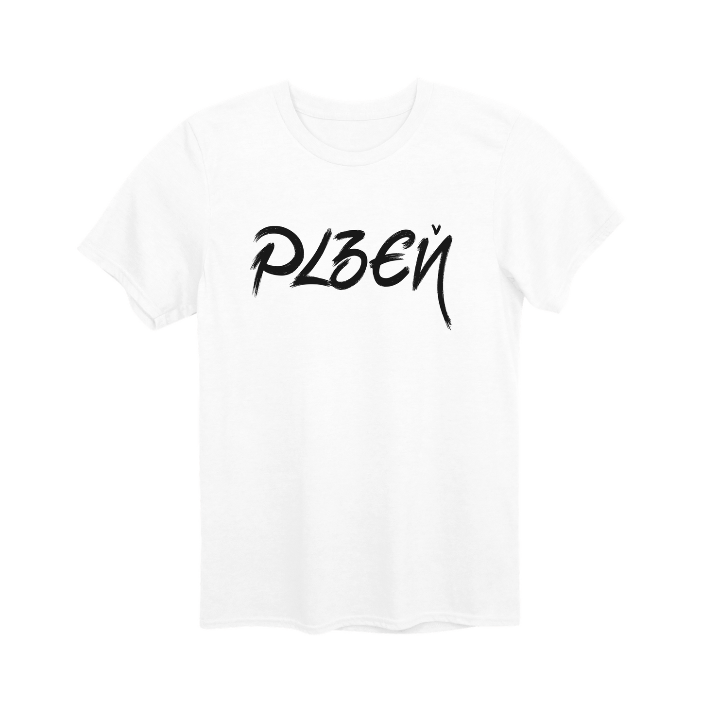 Plzeň město, černé tahy štětcem unisex tričko | PandaTees