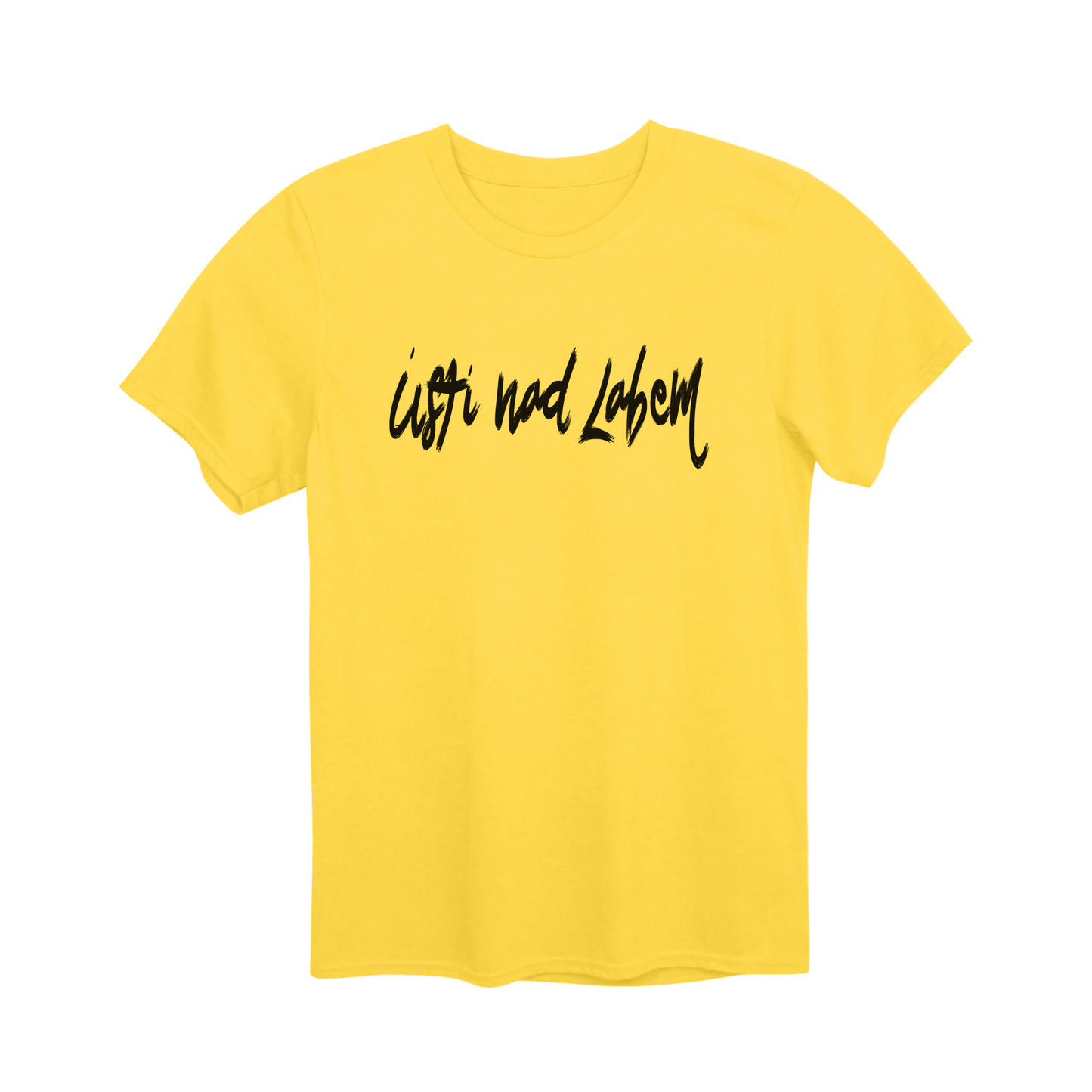 Ústí nad Labem město, černé tahy štětcem unisex tričko | PandaTees