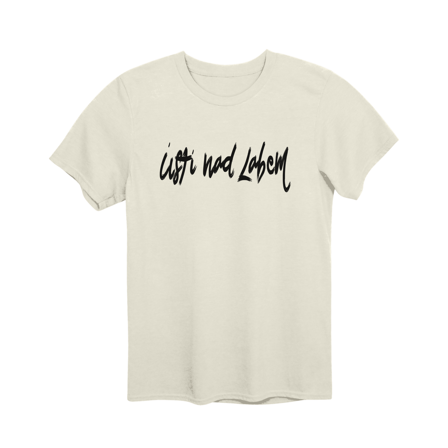 Ústí nad Labem město, černé tahy štětcem unisex tričko | PandaTees