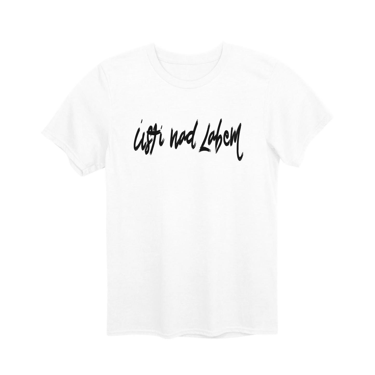 Ústí nad Labem město, černé tahy štětcem unisex tričko | PandaTees